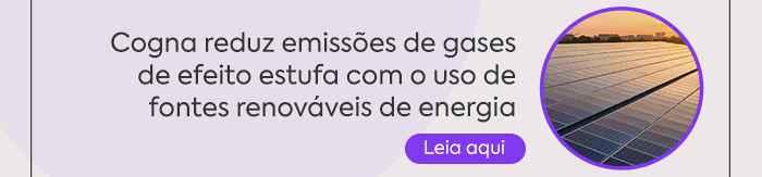 RESUMO DO INVENTÁRIO DE EMISSÕES DE GASES DE EFEITO ESTUFA 2021