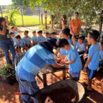 Imagem Destaque do Projeto: Horto de Plantas Medicinais e PANCs - Uniderp Campo Grande - MS