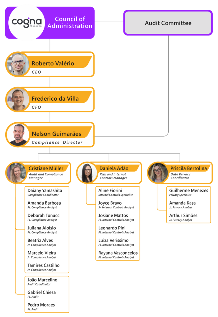 Compliance Organization Chart Image